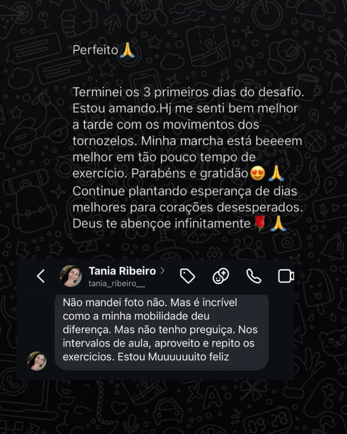 Print de conversa no WhatsApp com o relato de um aluno sobre o desafio de mobilidade