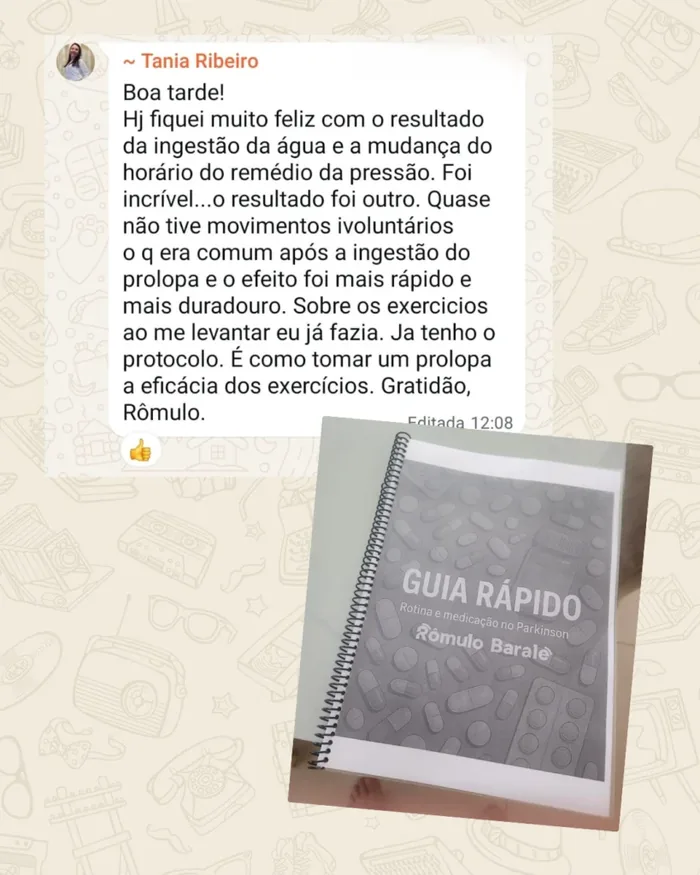 Print de conversa no WhatsApp com o relato de um aluno sobre o guia